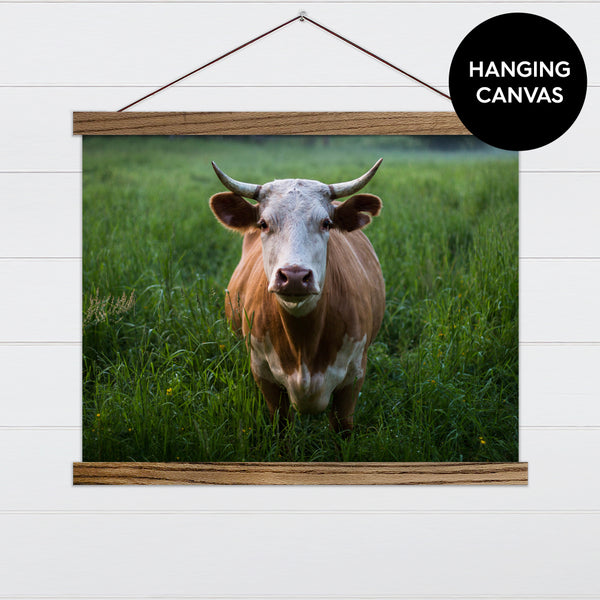 Cow in Tall Grass Canvas & Wood Sign Wall Art