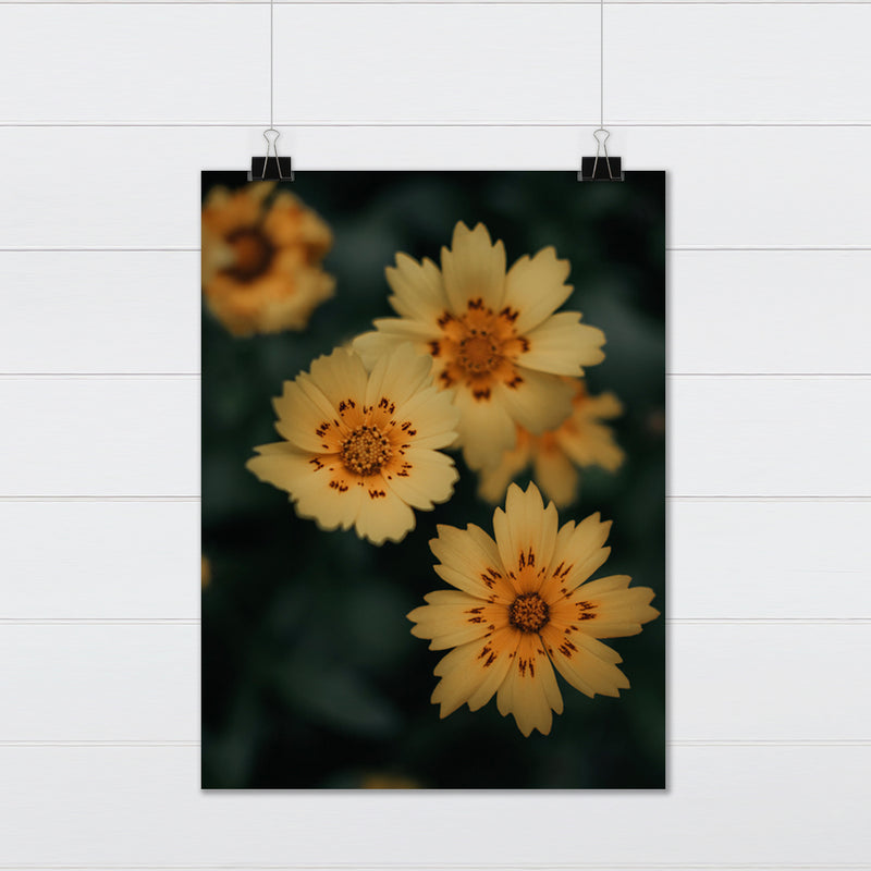 Dainty Yellow Flowers Fine Art Print - Giclee Fine Art Print Poster or Canvas
