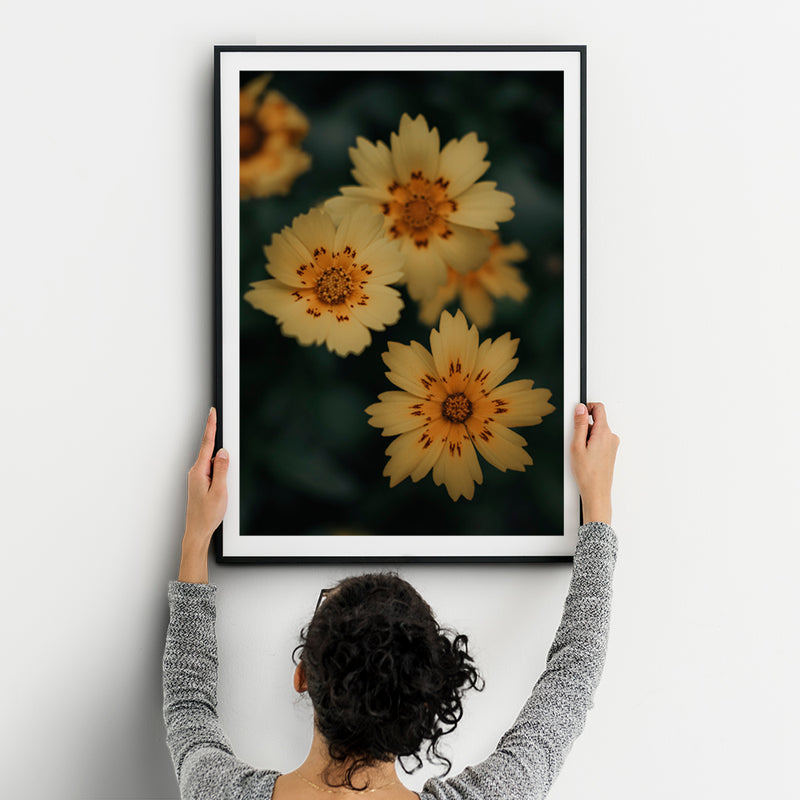 Dainty Yellow Flowers Fine Art Print - Giclee Fine Art Print Poster or Canvas