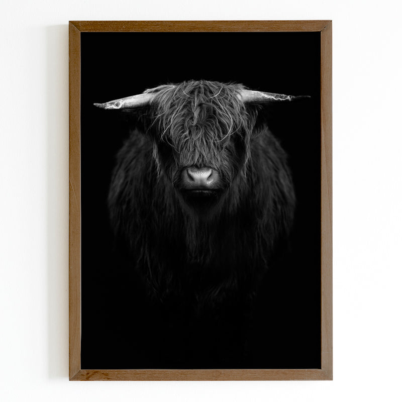 Dark Highland Cow Fine Art Print - Giclee Fine Art Print Poster or Canvas