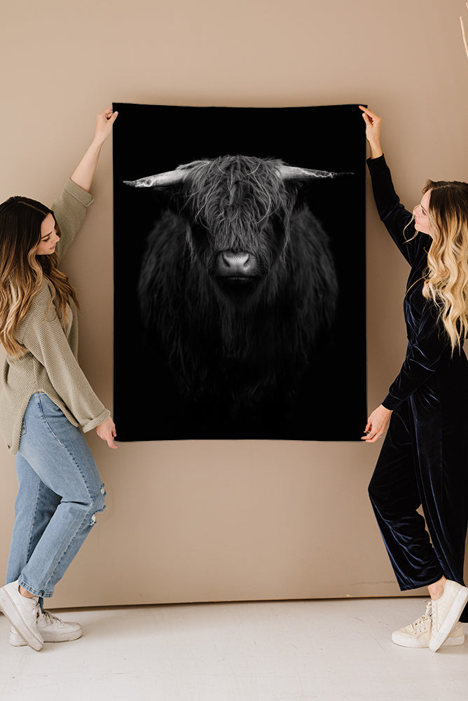 Dark Highland Cow Fine Art Print - Giclee Fine Art Print Poster or Canvas