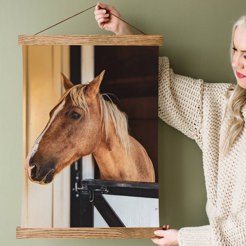 Farm Horse in Stall Fine Art Print - Giclee Fine Art Print Poster or Canvas