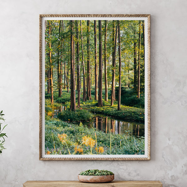 Forest With Stream Fine Art Print - Giclee Fine Art Print Poster or Canvas