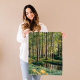 Forest With Stream Fine Art Print - Giclee Fine Art Print Poster or Canvas