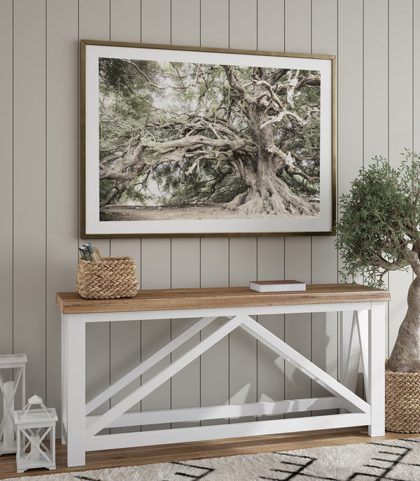 Giant Olive Tree Photograph - Wall Art Print