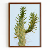Green Cactus Fine Art Print - Giclee Fine Art Print Poster or Canvas