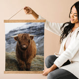 Highland Calf on Mountain Side