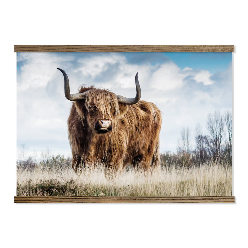 Highland Cow Huge Photo Canvas Wall Art with Wood Frame