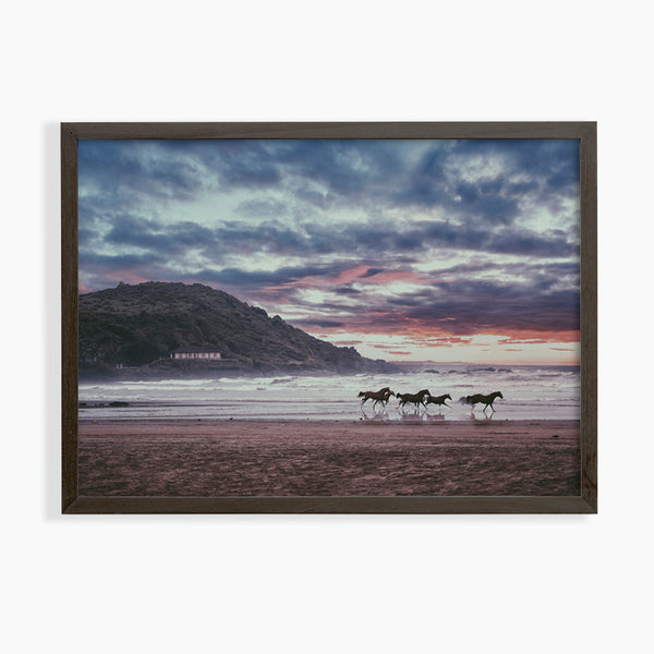 Horse Beach Photograph Art Print - Giclee Fine Art Print Poster or Canvas