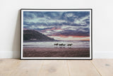Horse Beach Photograph Art Print - Giclee Fine Art Print Poster or Canvas