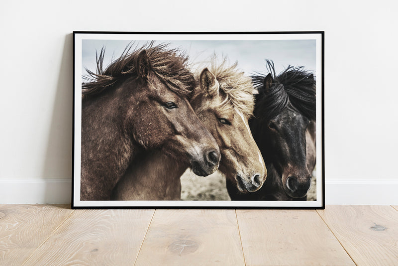 Horse Trio Picture Fine Art Giclee Print