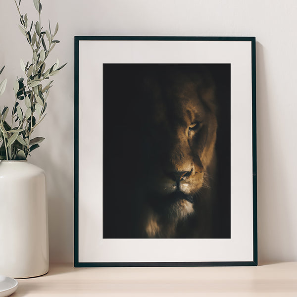 Lion in Shadow Fine Art Print - Giclee Fine Art Print Poster or Canvas