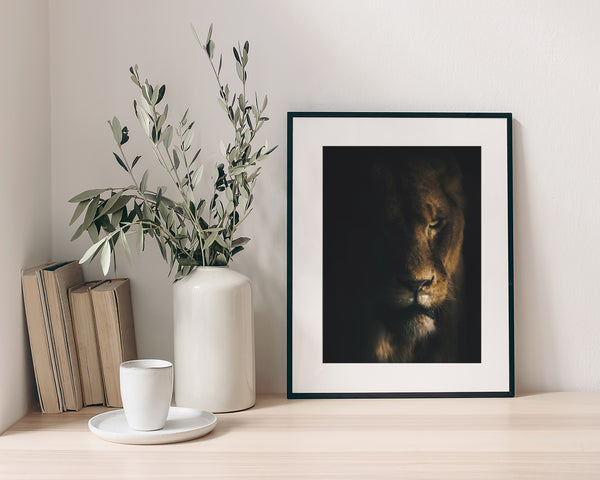 Lion in Shadow Fine Art Print - Giclee Fine Art Print Poster or Canvas