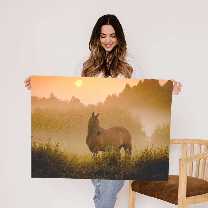 Lone Horse in Field Fine Art Print - Giclee Fine Art Print Poster or Canvas