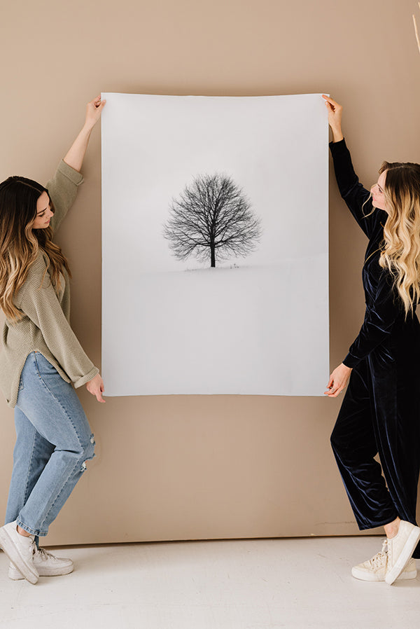 Lone Winter Tree Fine Art Print - Giclee Fine Art Print Poster or Canvas