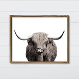 Highland Cow Canvas & Wood Sign Wall Art