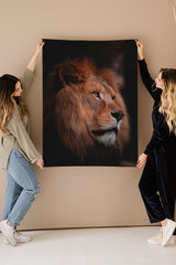 Majestic Lion Profile Photograph Fine Art Print - Giclee Fine Art Print Poster or Canvas