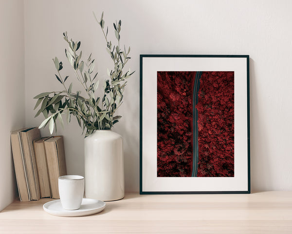Road Through a Red Forest Fine Art Print - Giclee Fine Art Print Poster or Canvas