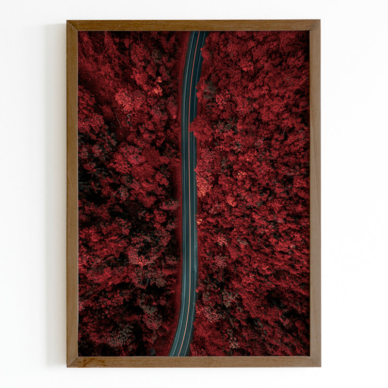 Road Through a Red Forest Fine Art Print - Giclee Fine Art Print Poster or Canvas