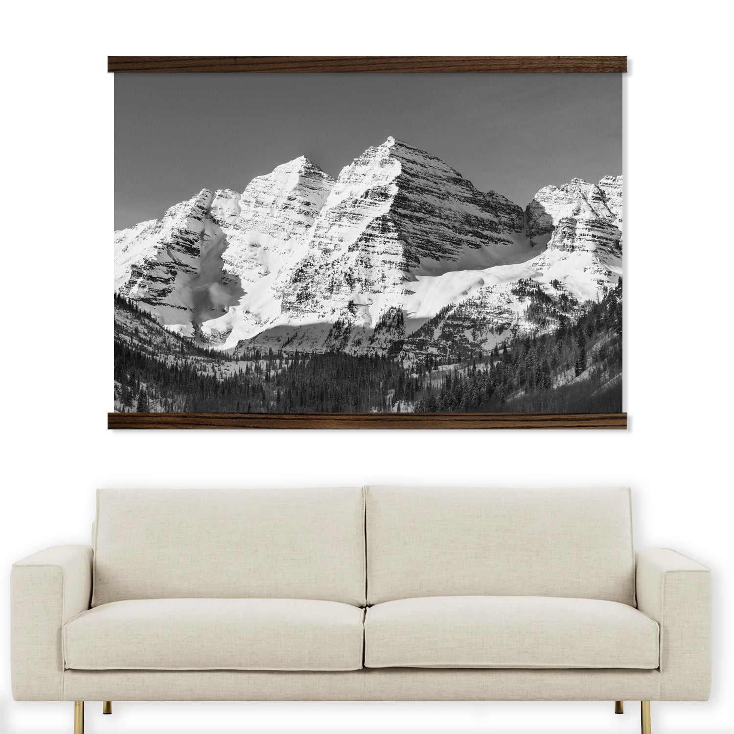 Rocky Mountains Black & White Large Photo Canvas