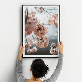 Cherry Blossoms Fine Art Print - Giclee Fine Art Print Poster or Canvas