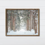 Winter Snow Path Canvas & Wood Sign Wall Art