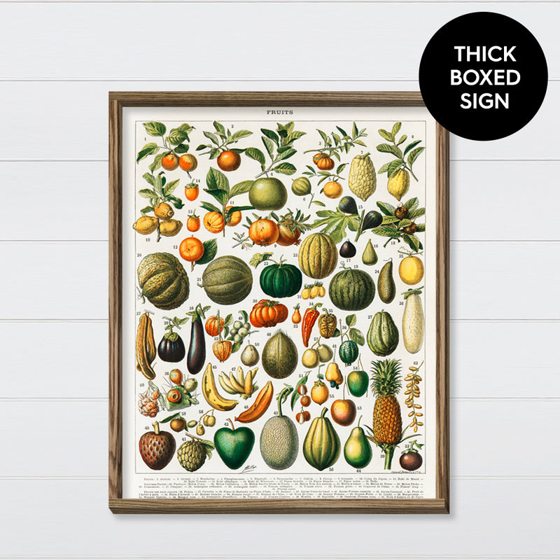 Vintage Fruit Chart Canvas & Wood Sign Wall Art