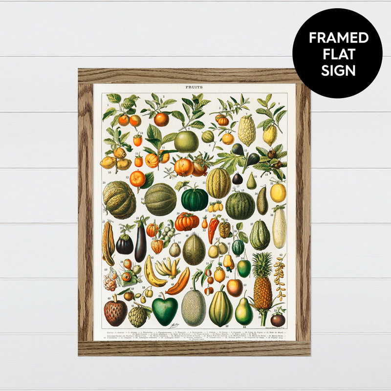 Vintage Fruit Chart Canvas & Wood Sign Wall Art