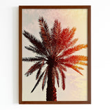 Vintage Palm Tree  Fine Art Print - Giclee Fine Art Print Poster or Canvas
