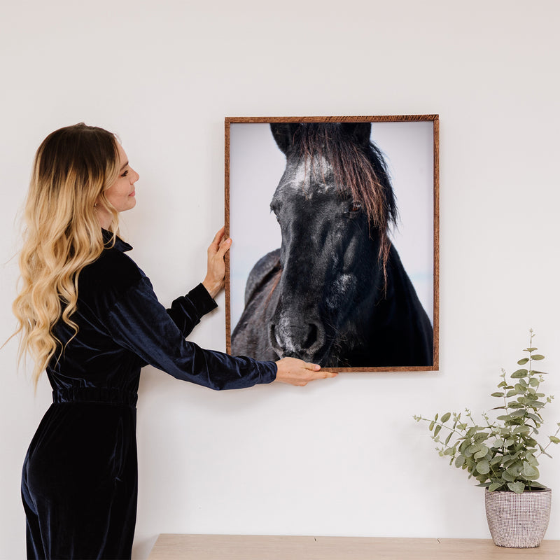 Wild Mustang Fine Art Print - Giclee Fine Art Print Poster or Canvas