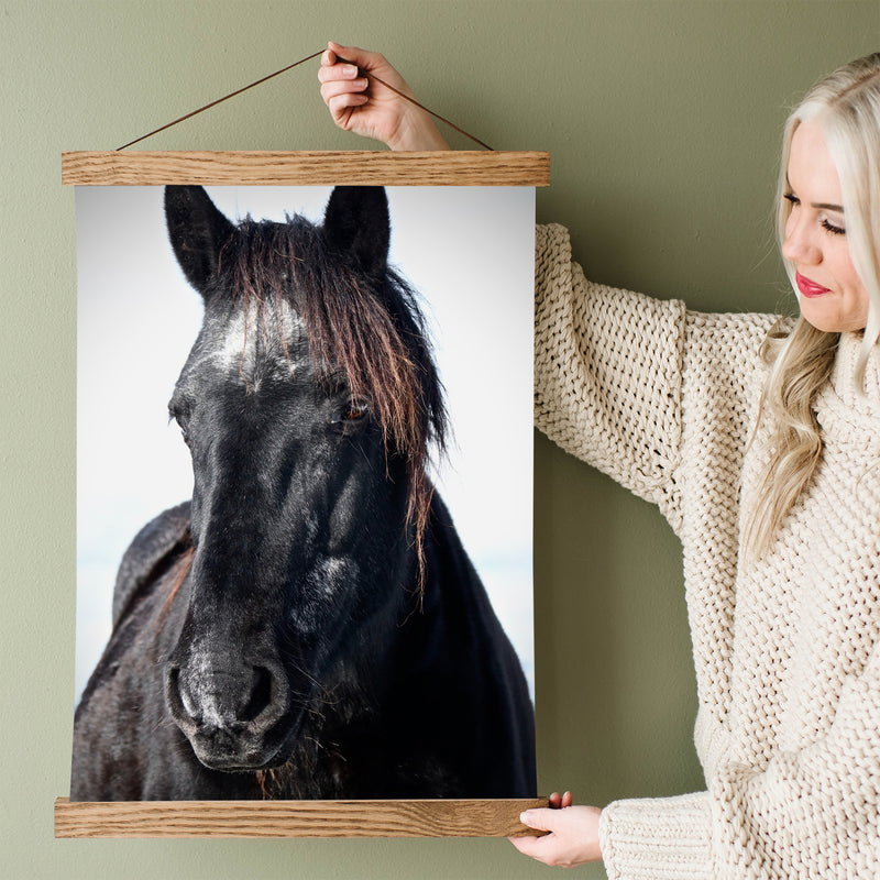 Wild Mustang Fine Art Print - Giclee Fine Art Print Poster or Canvas