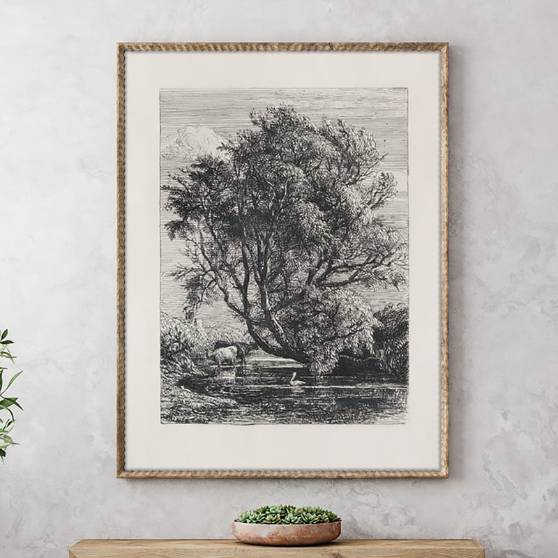 Vintage Willow Tree Print Reproduction - Wall Art Canvas or Fine Art Paper