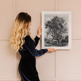 Vintage Willow Tree Print Reproduction - Wall Art Canvas or Fine Art Paper