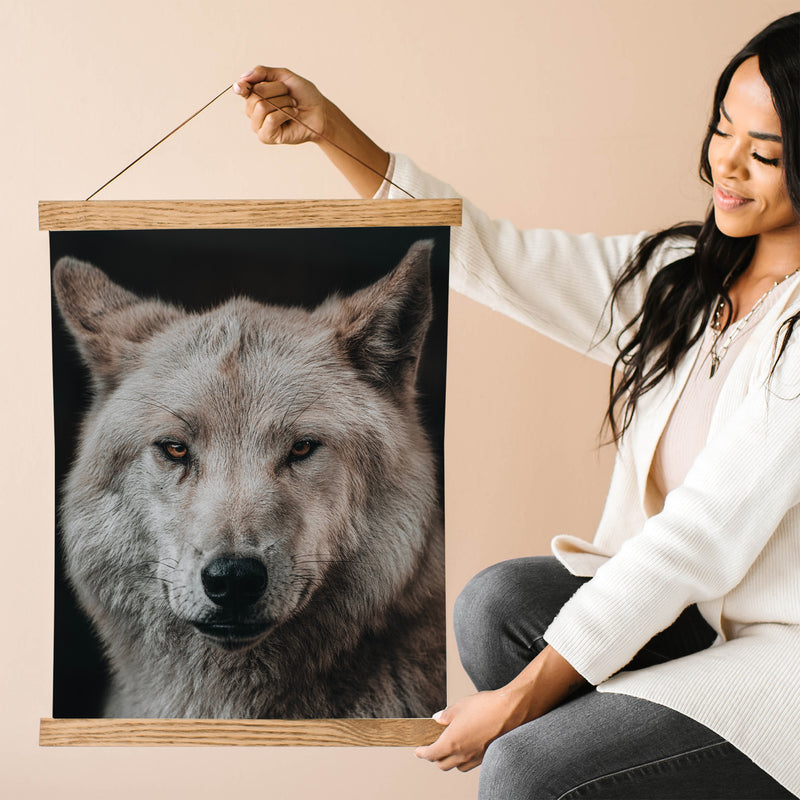 Wolf Close Up Fine Art Print - Giclee Fine Art Print Poster or Canvas
