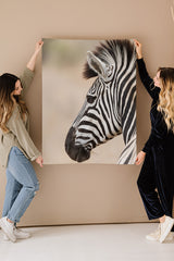 Zebra Close Up Fine Art Print - Giclee Fine Art Print Poster or Canvas