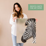 Zebra Close Up Fine Art Print - Giclee Fine Art Print Poster or Canvas